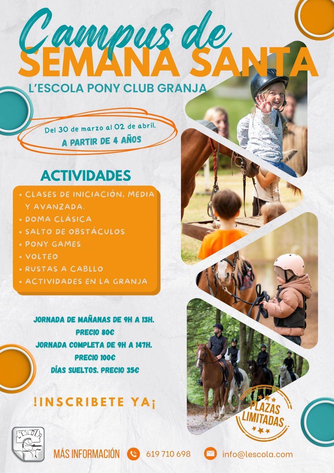 WhatsApp Image 2026-03-09 at 07.59.53